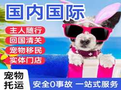 拉萨机场物流国际宠物托运 【国